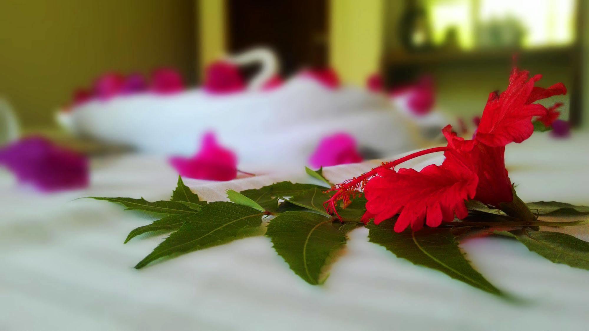 Sole Luna Resort & Spa Tangalle Ngoại thất bức ảnh